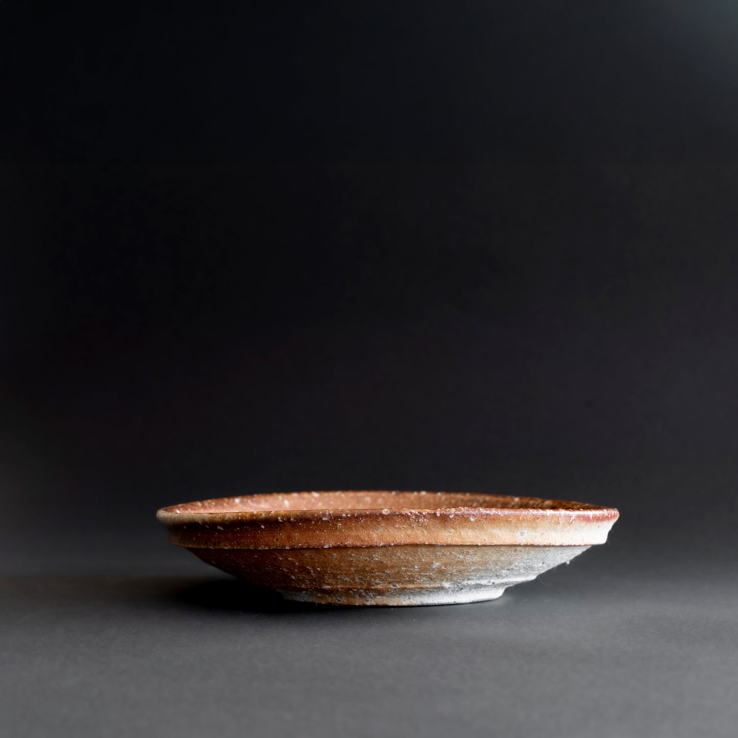 Shigaraki Round Shallow Bowl