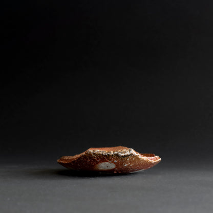 Shigaraki Boat-shaped Small Plate