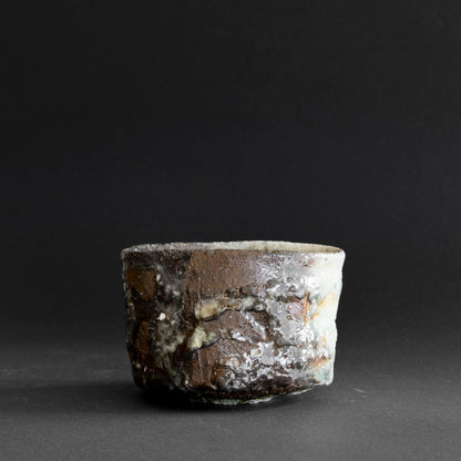 Shigaraki Tea Bowl