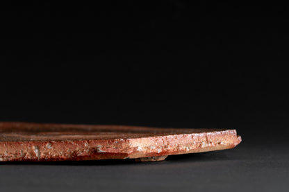 Shigaraki Octagonal Plate