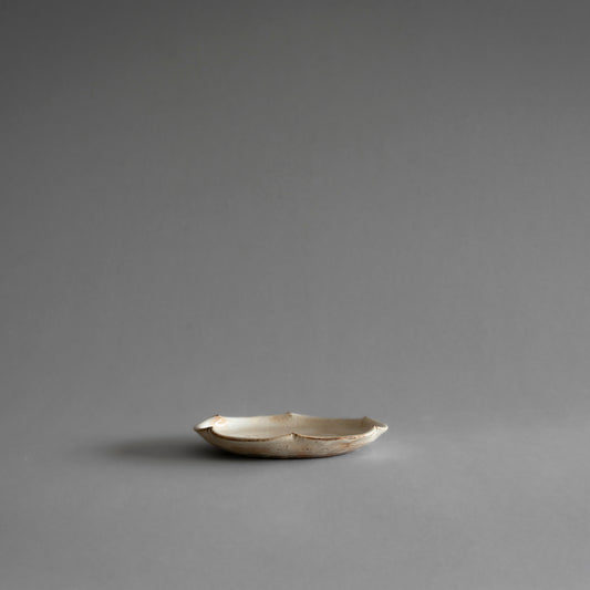 Plate S
