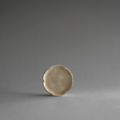 Plate S