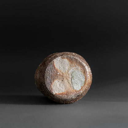 Shigaraki Vase