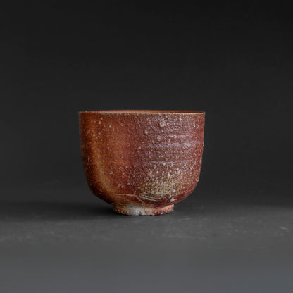 Shigaraki Tea Bowl