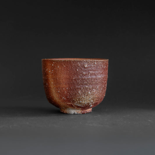 Shigaraki Tea Bowl