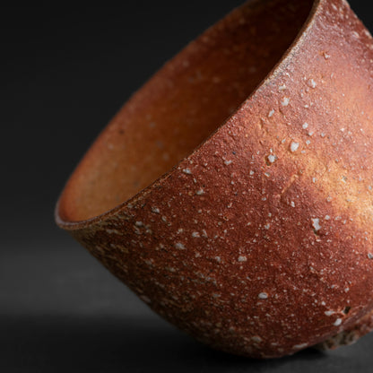Shigaraki Tea Bowl