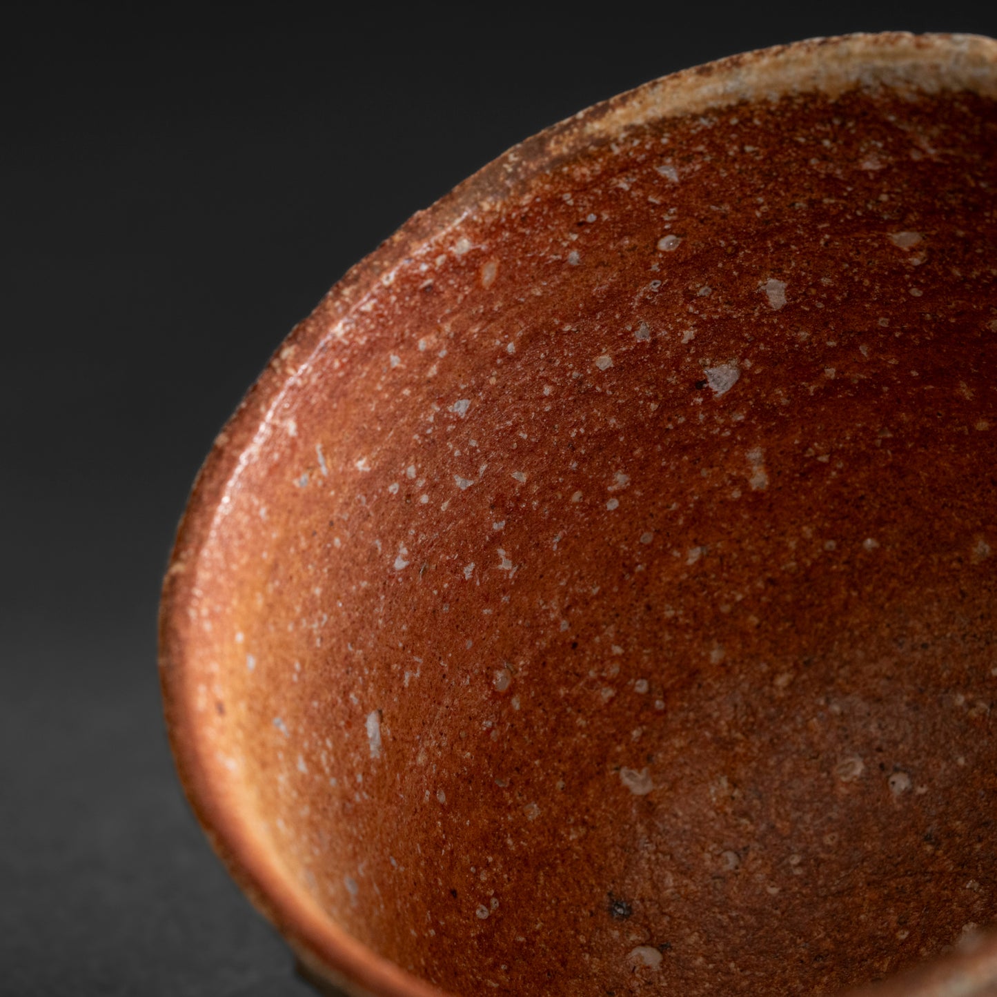 Shigaraki Tea Bowl