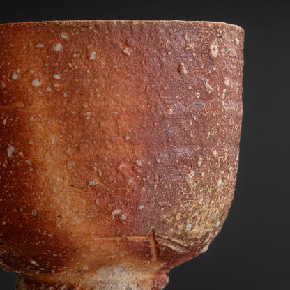 Shigaraki Tea Bowl