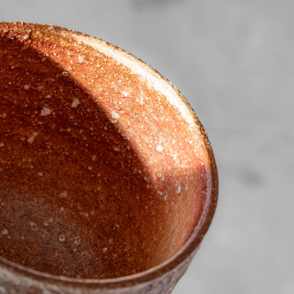 Shigaraki Tea Bowl