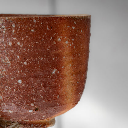 Shigaraki Tea Bowl