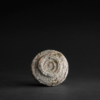 Iga Sake Cup