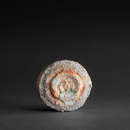 Iga Sake Cup