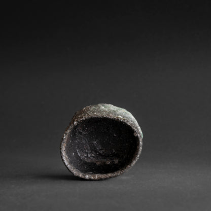 Iga Sake Cup