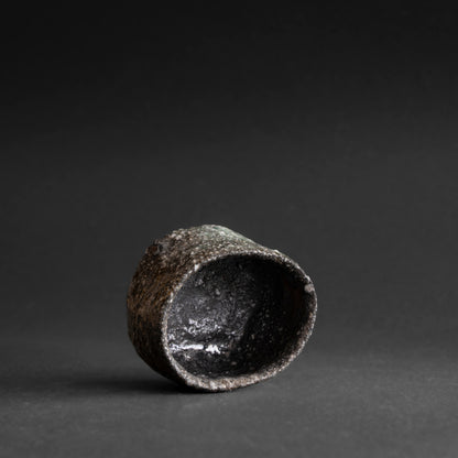 Iga Sake Cup