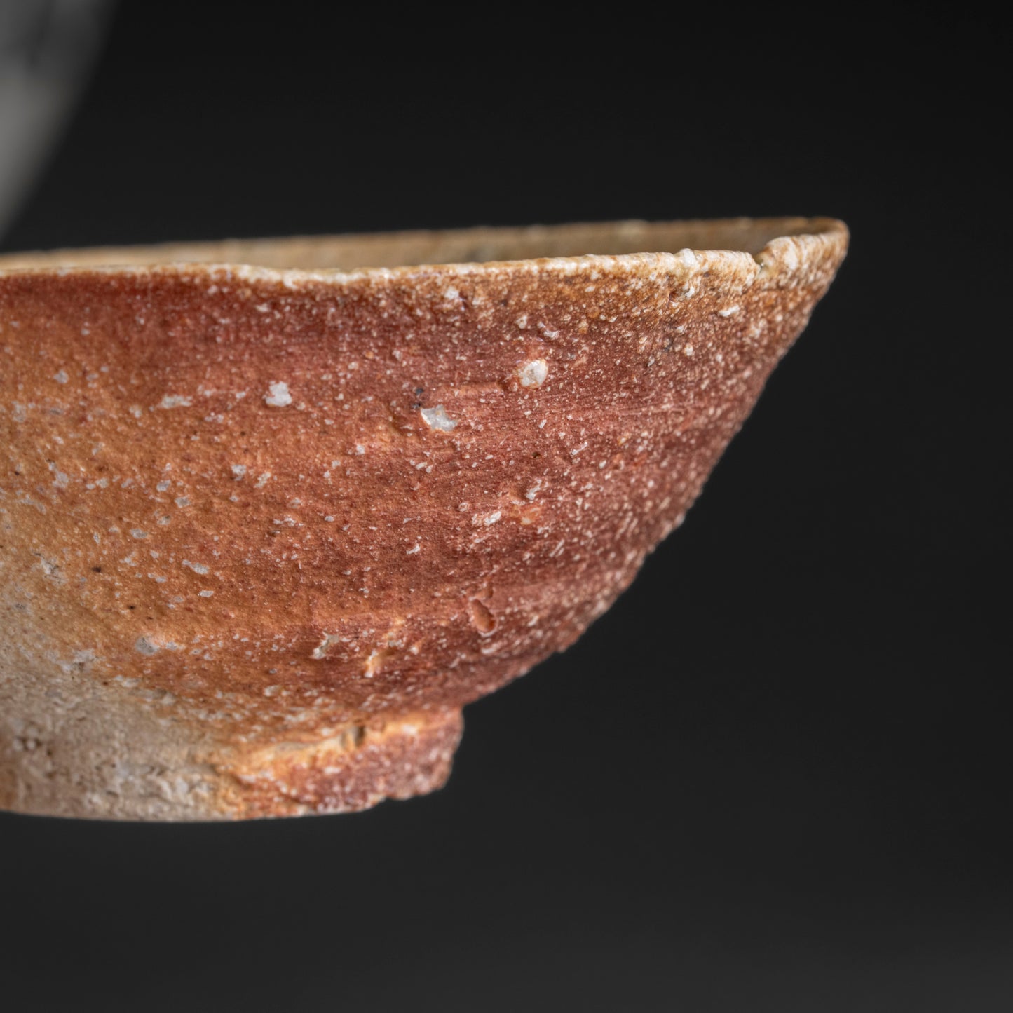 Shigaraki Bowl