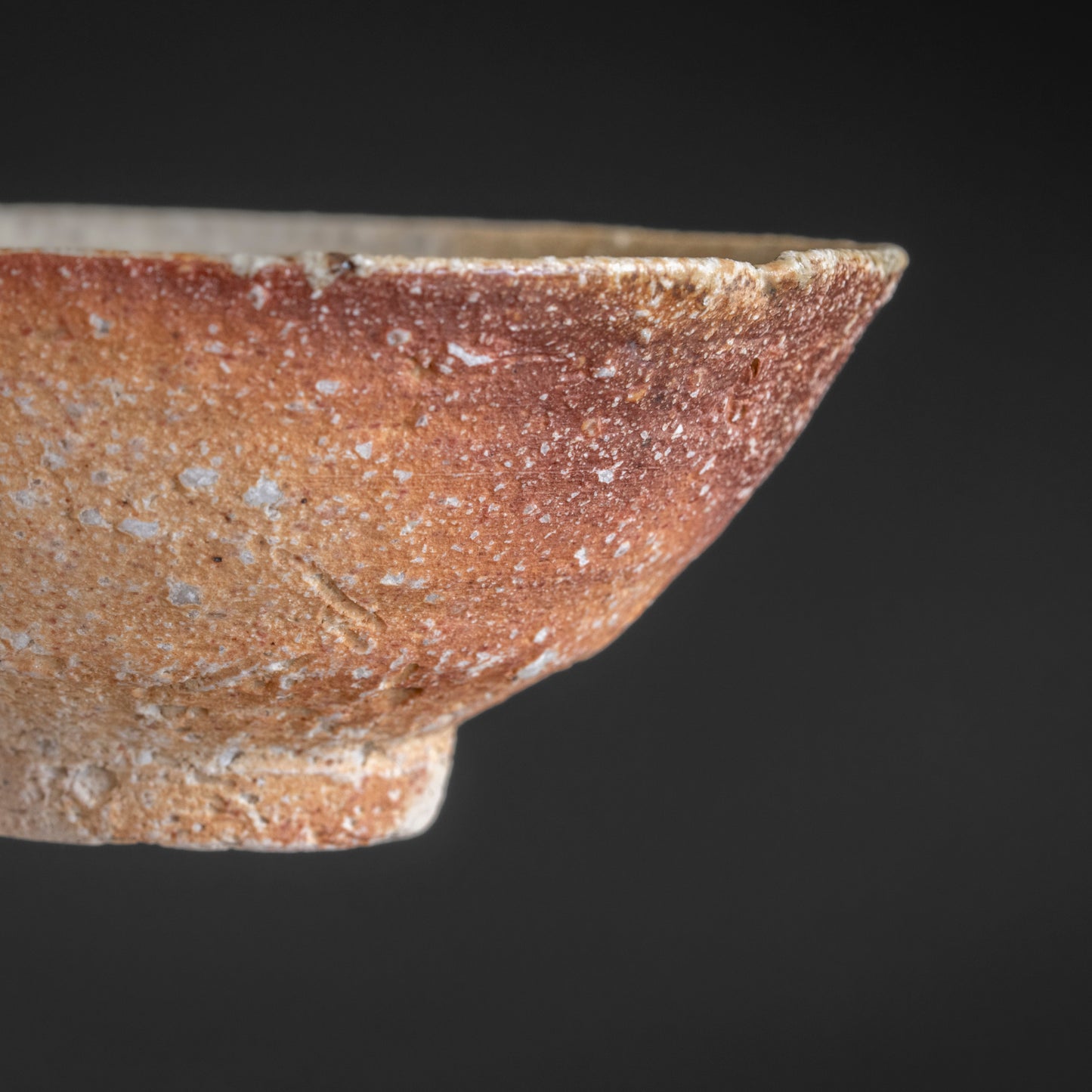 Shigaraki Bowl