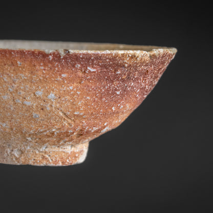 Shigaraki Bowl
