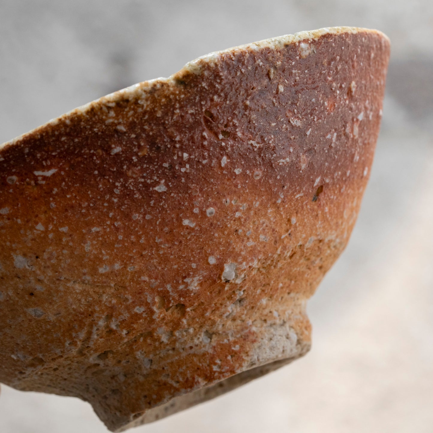 Shigaraki Bowl