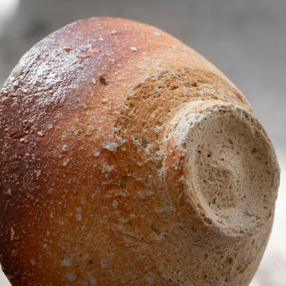 Shigaraki Bowl