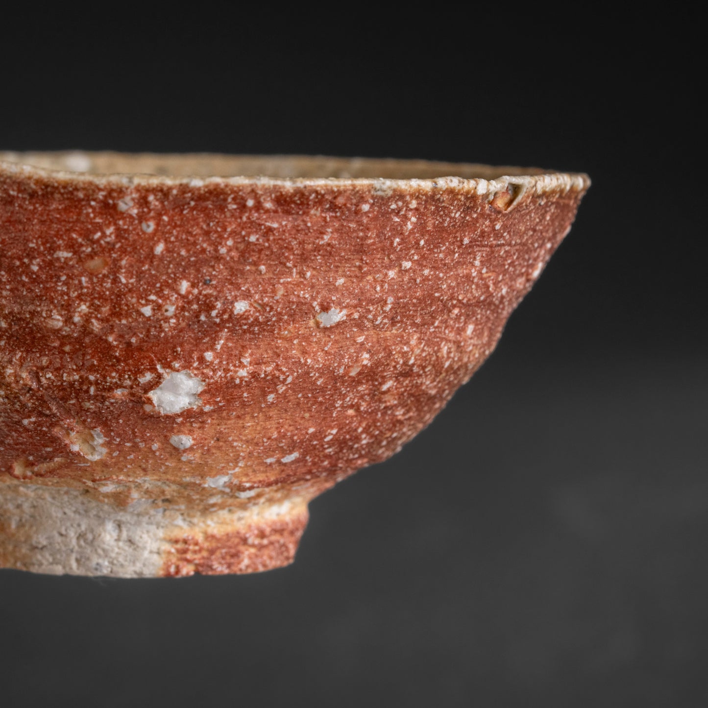 Shigaraki Bowl