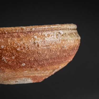 Shigaraki Shallow Bowl