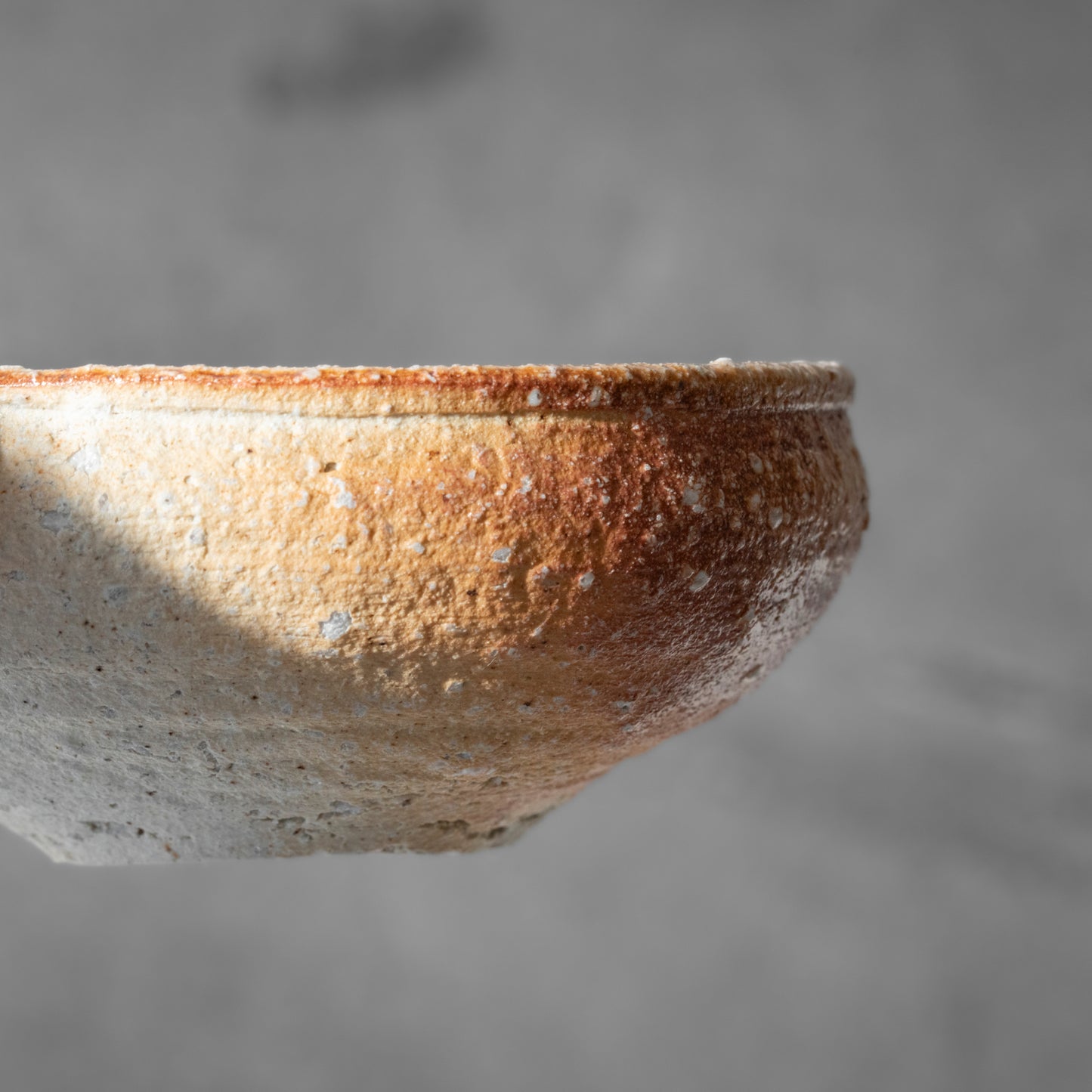 Shigaraki Shallow Bowl