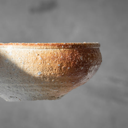 Shigaraki Shallow Bowl
