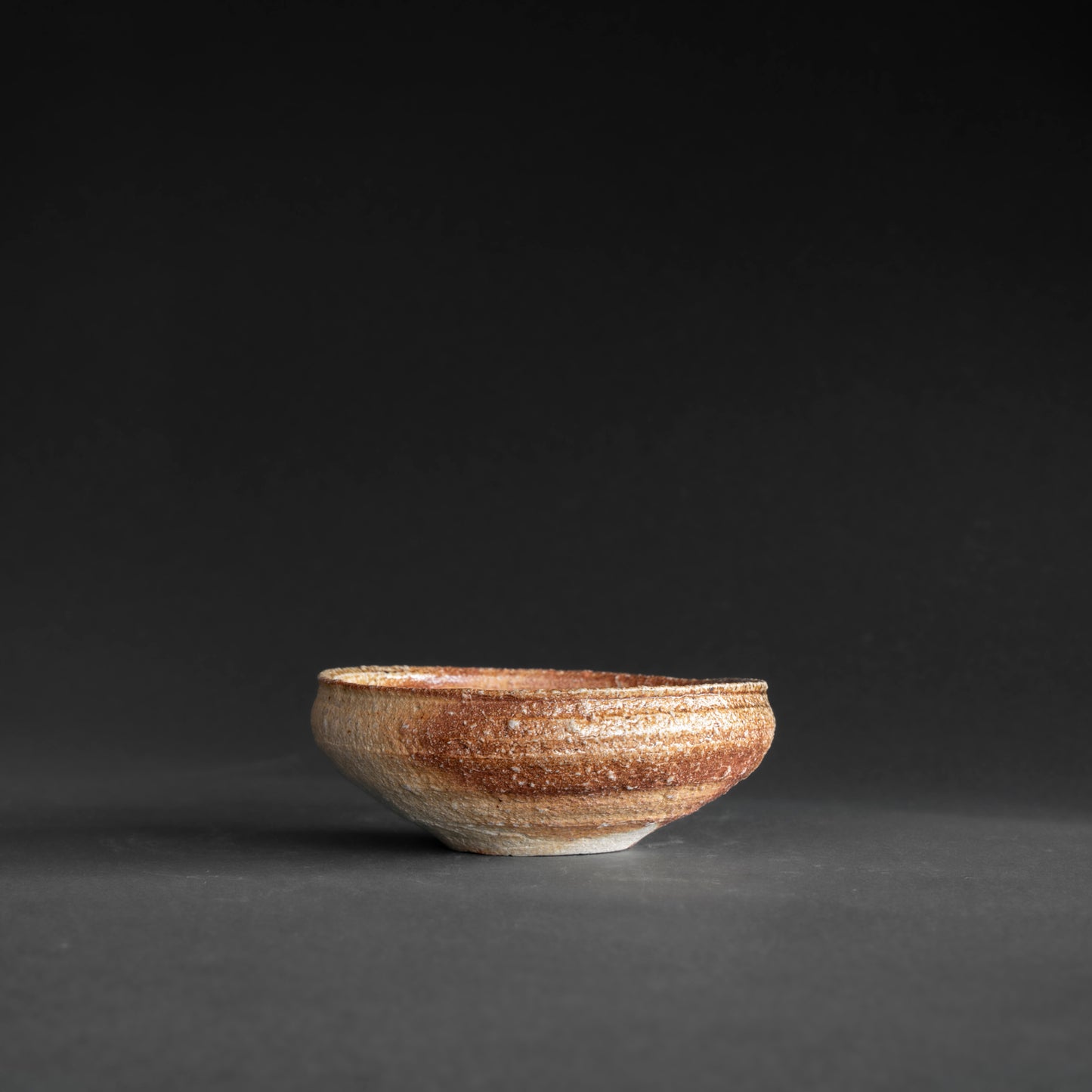 Shigaraki Shallow Bowl