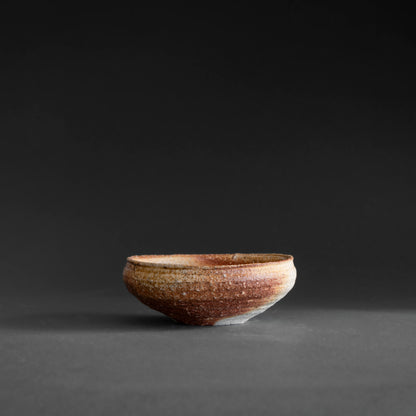 Shigaraki Shallow Bowl