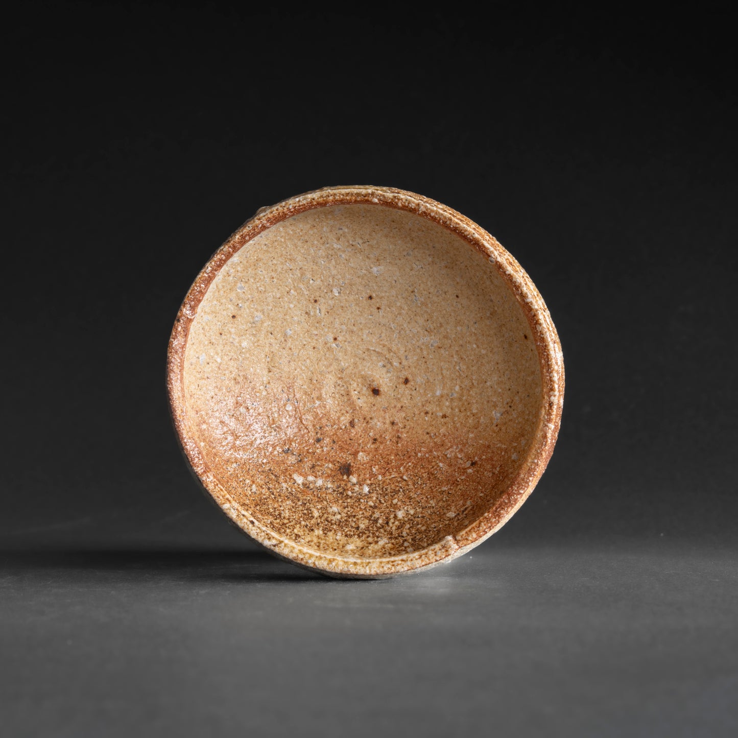 Shigaraki Shallow Bowl