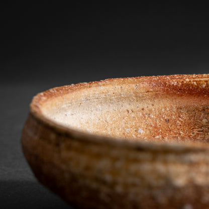 Shigaraki Shallow Bowl