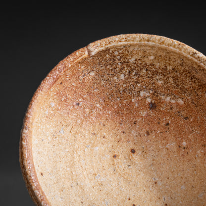 Shigaraki Shallow Bowl