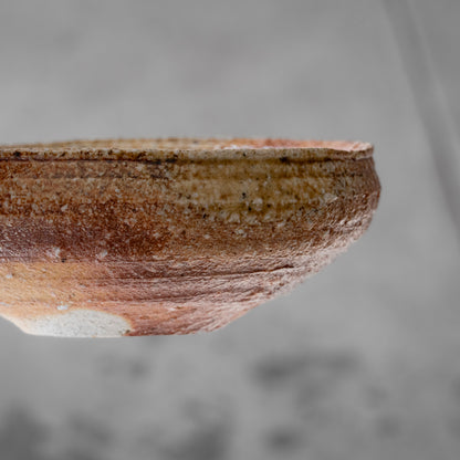 Shigaraki Shallow Bowl