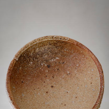 Shigaraki Shallow Bowl