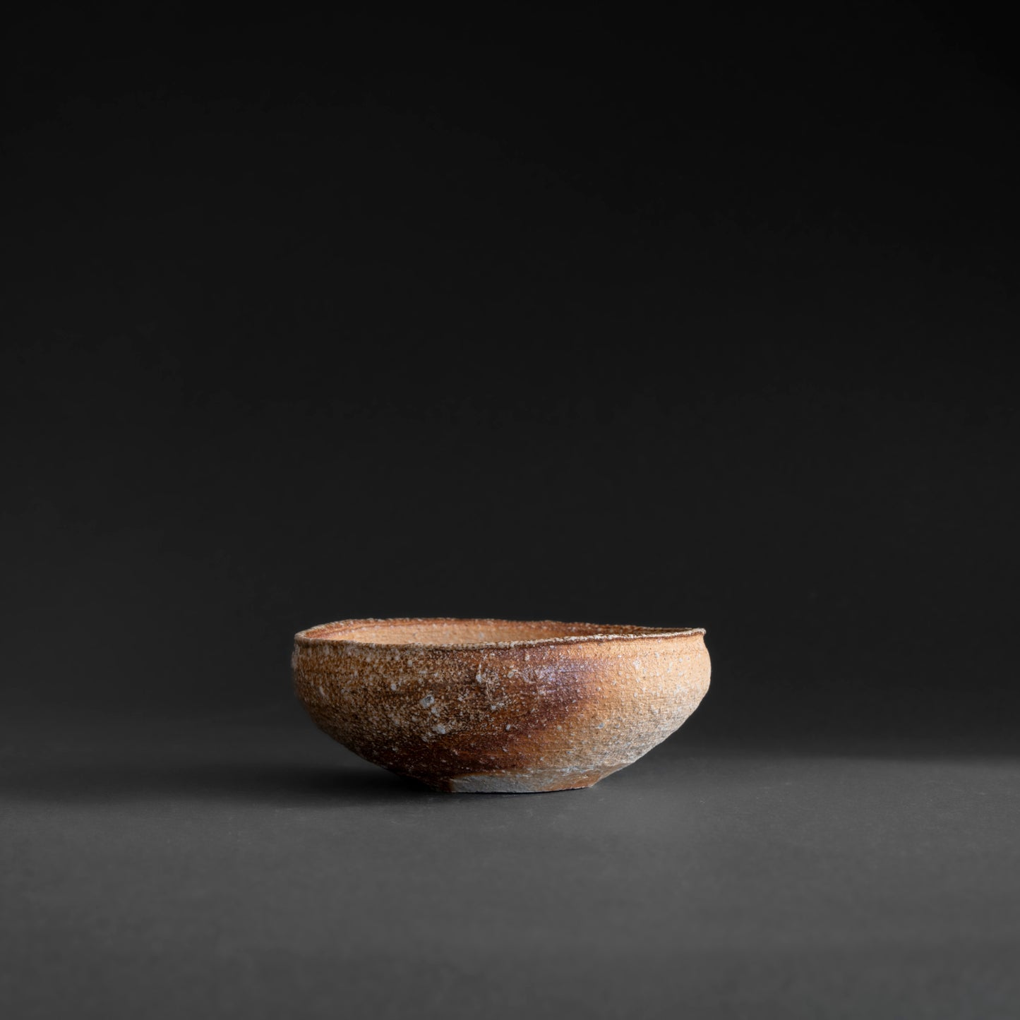 Shigaraki Shallow Bowl