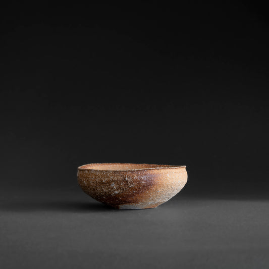 Shigaraki Shallow Bowl