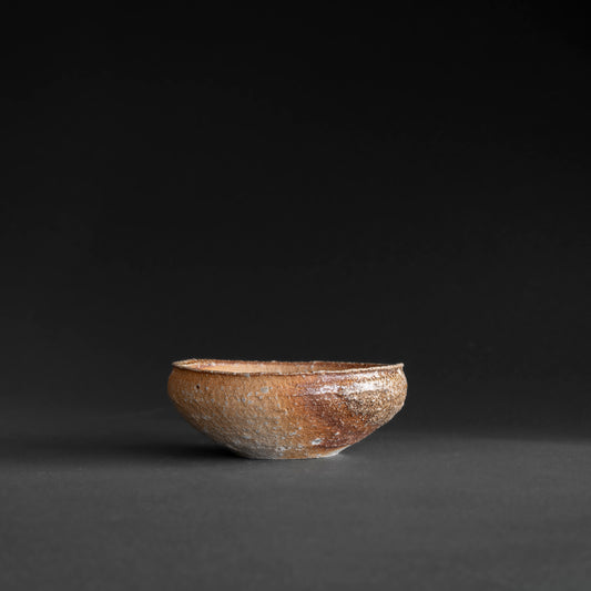 Shigaraki Shallow Bowl
