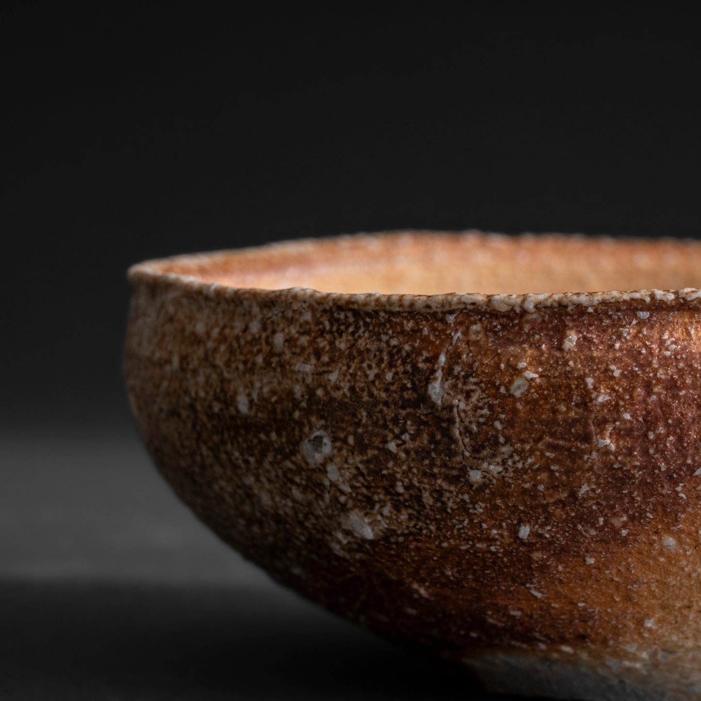 Shigaraki Shallow Bowl