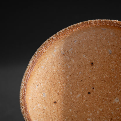 Shigaraki Shallow Bowl