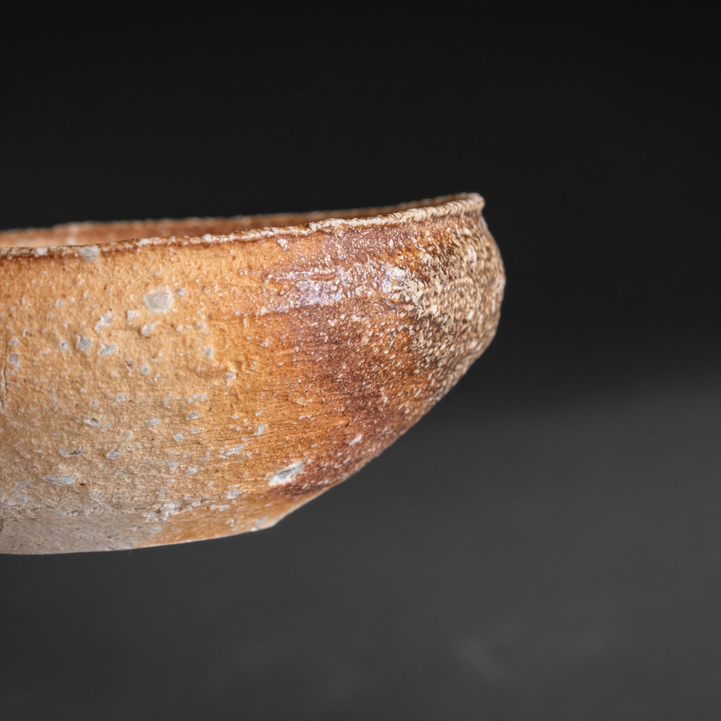 Shigaraki Shallow Bowl