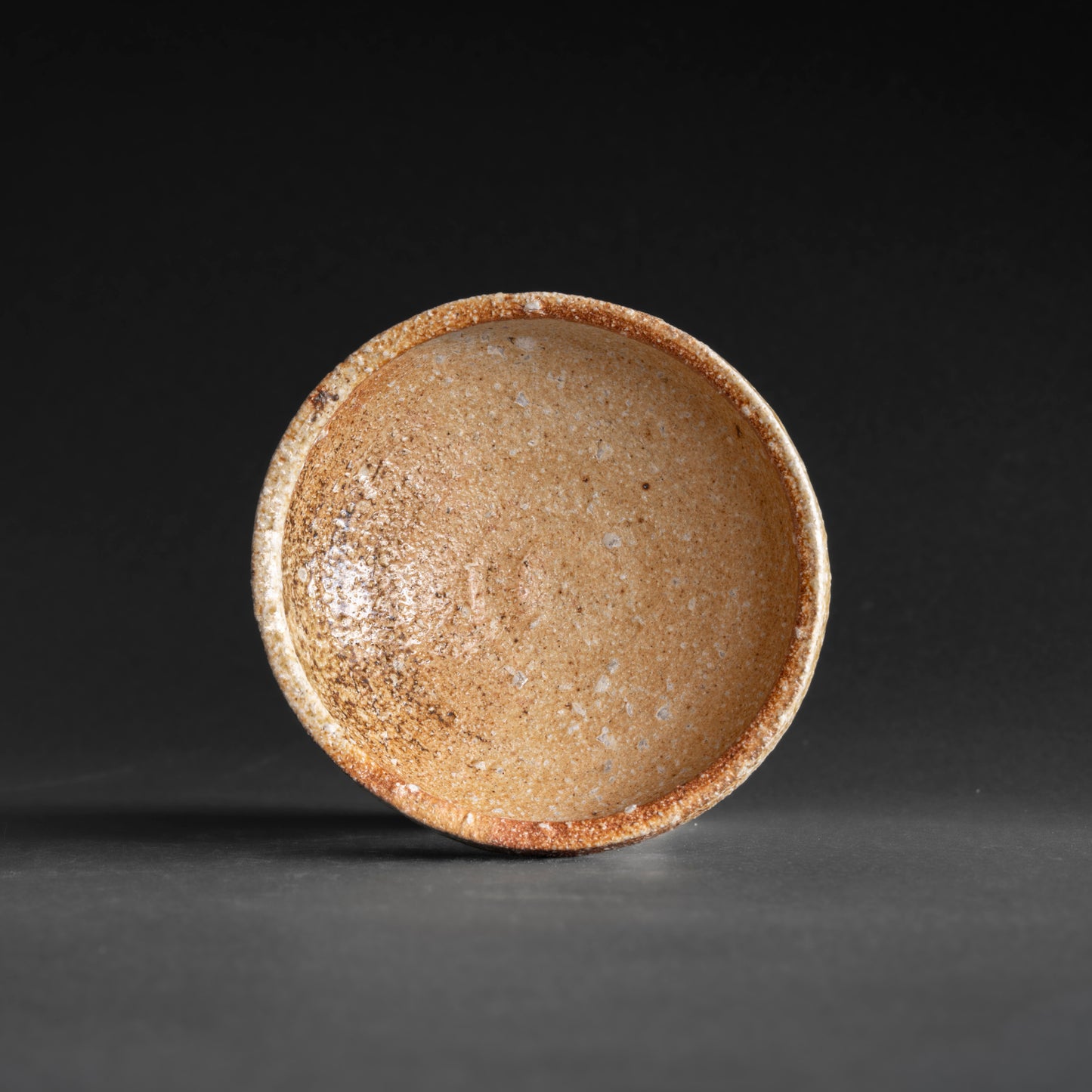 Shigaraki Shallow Bowl