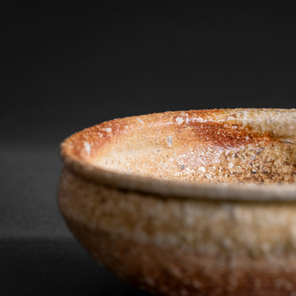 Shigaraki Shallow Bowl