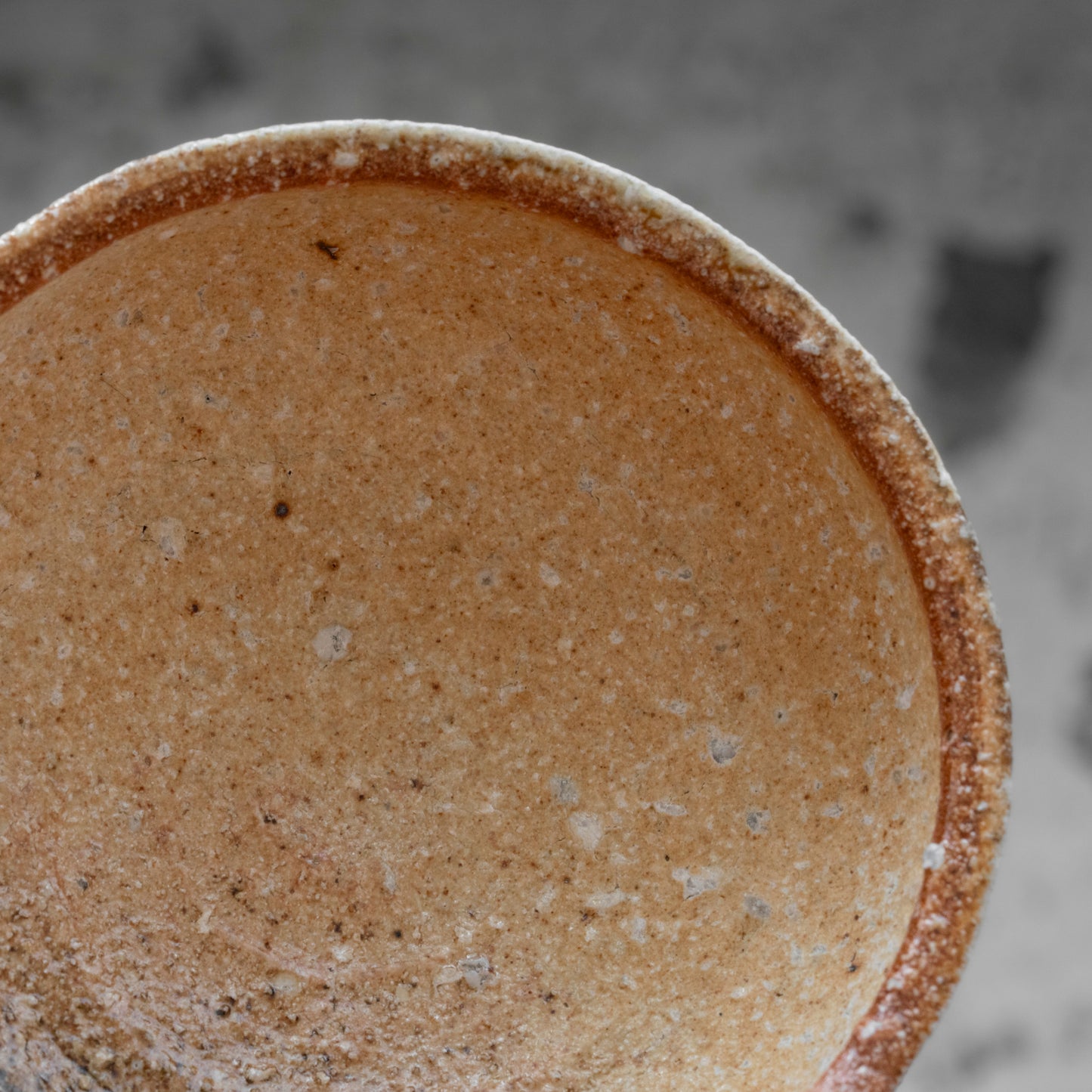 Shigaraki Shallow Bowl