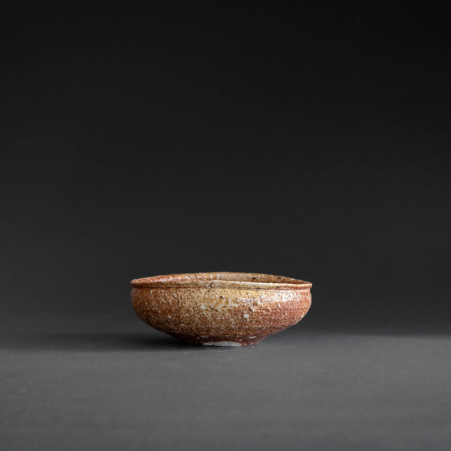 Shigaraki Shallow Bowl