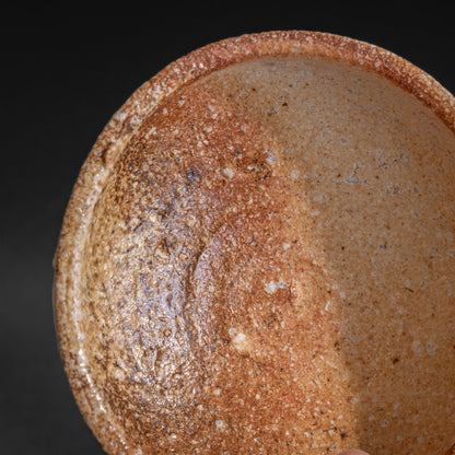 Shigaraki Shallow Bowl