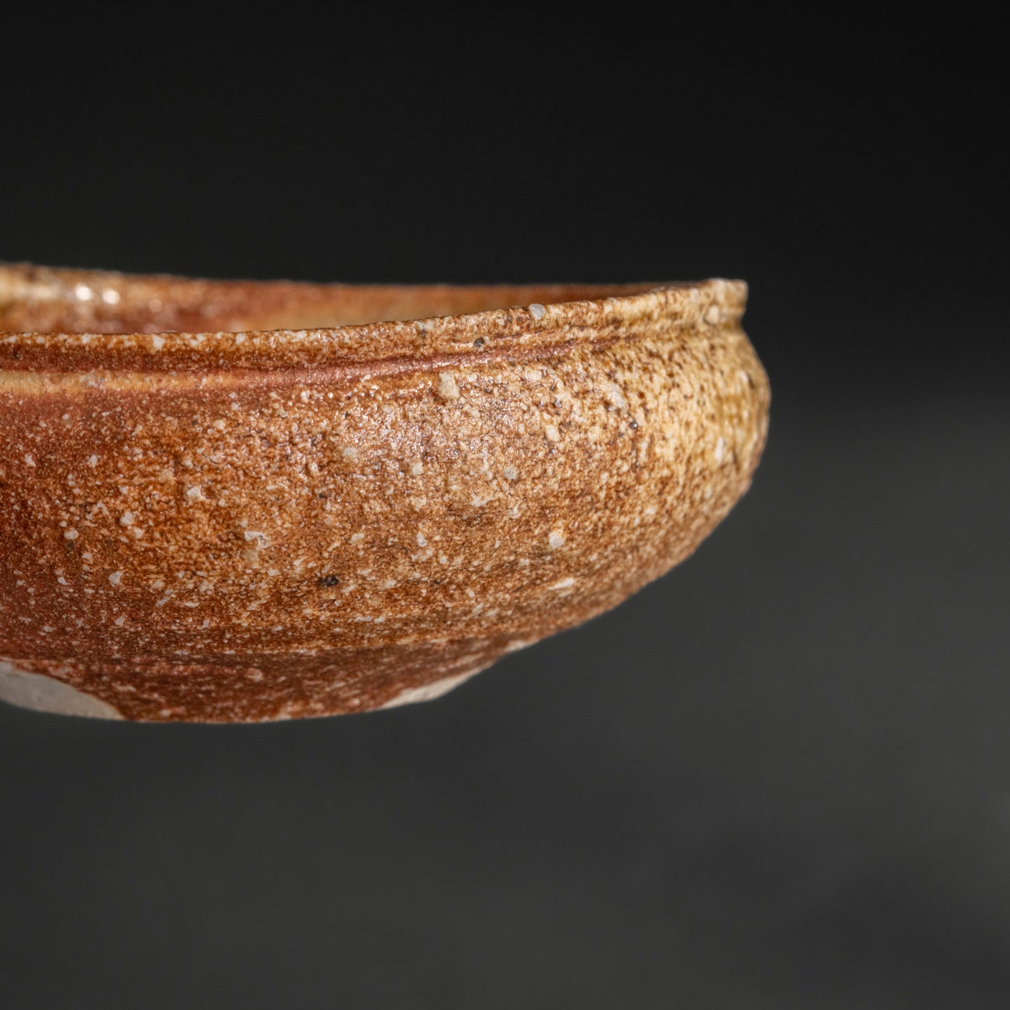 Shigaraki Shallow Bowl