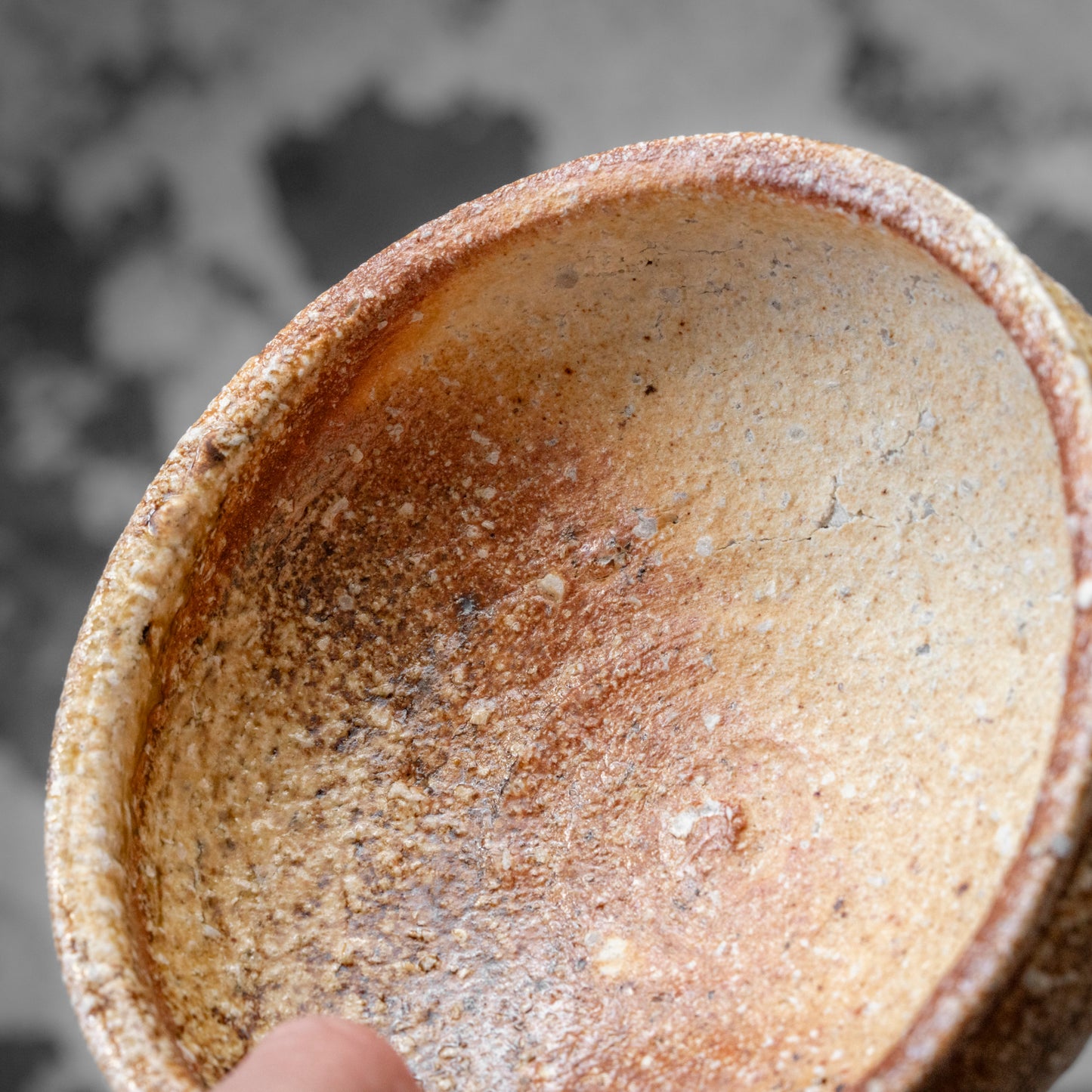 Shigaraki Shallow Bowl