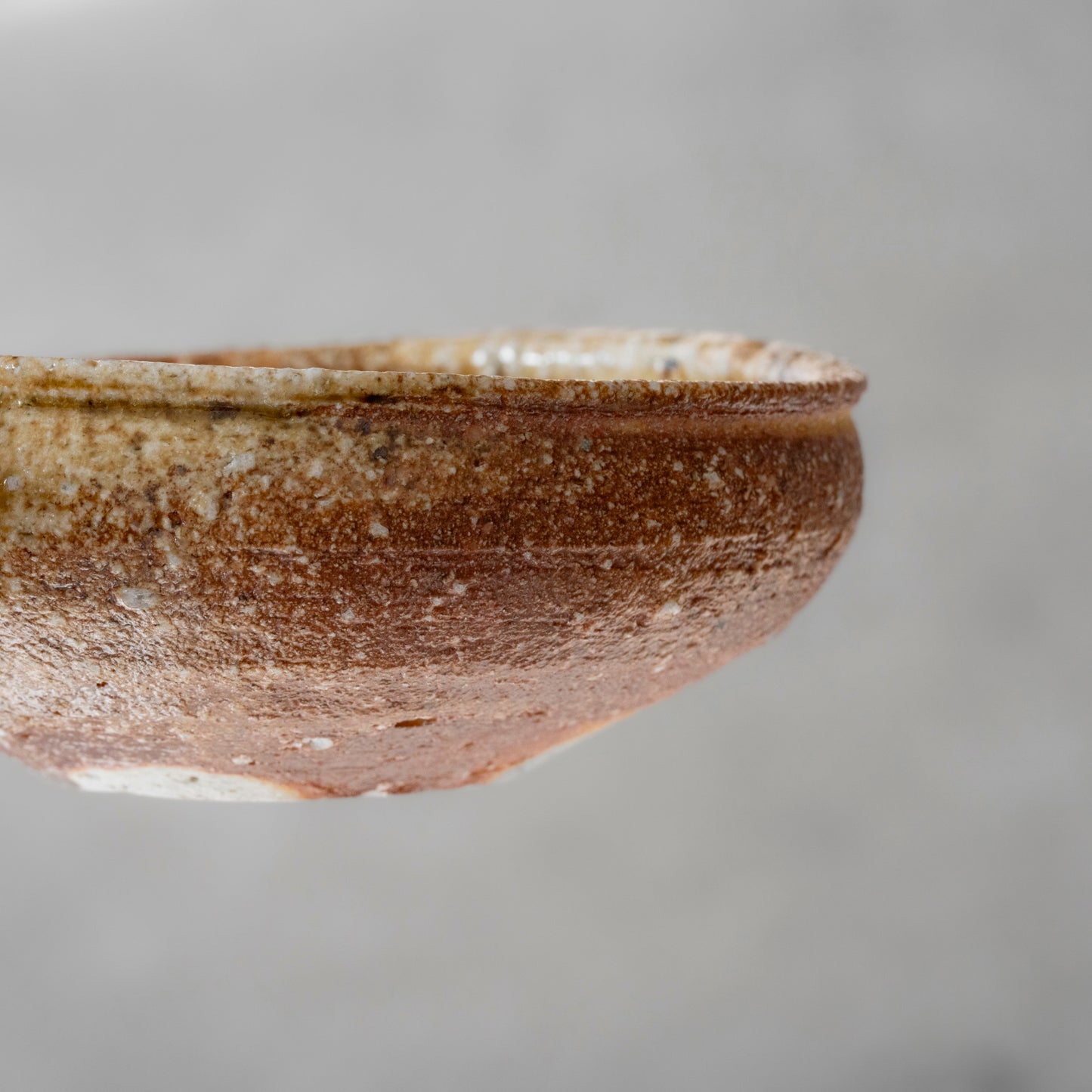 Shigaraki Shallow Bowl