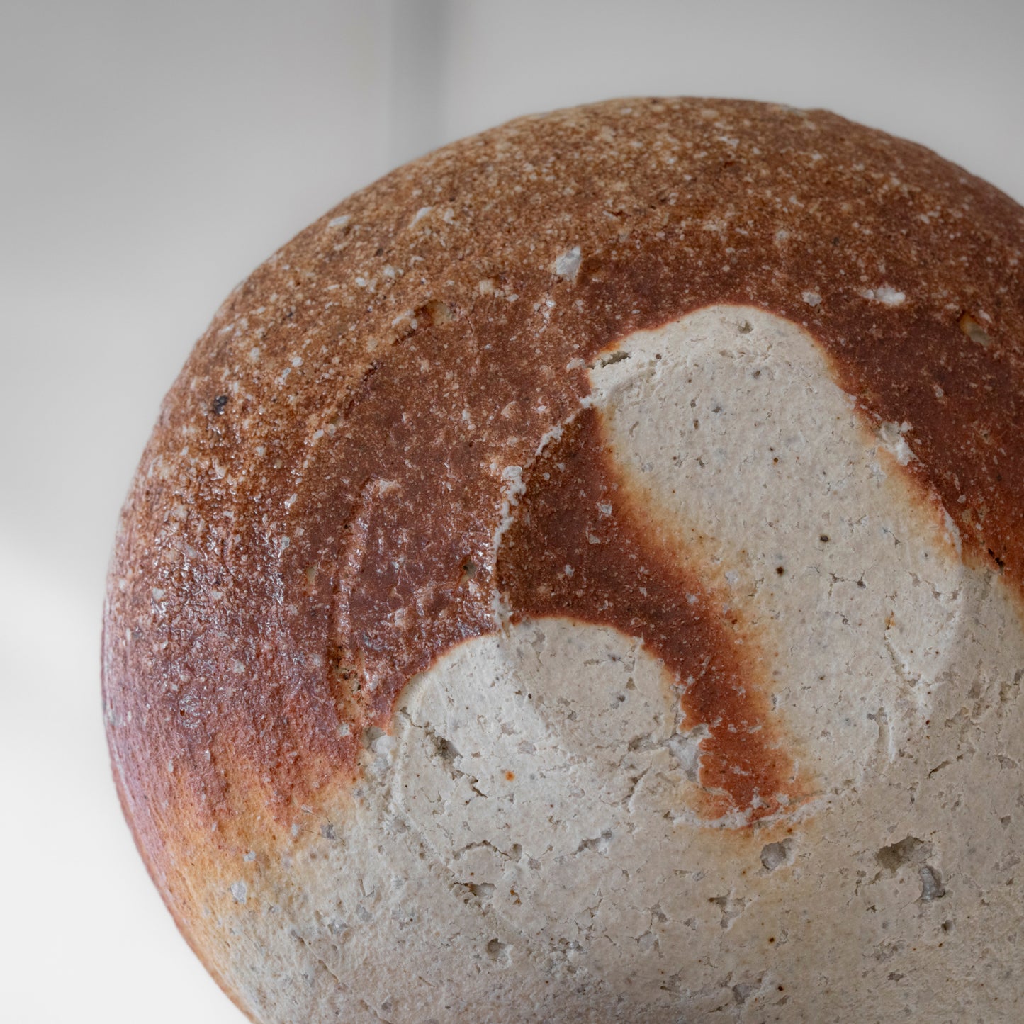 Shigaraki Shallow Bowl