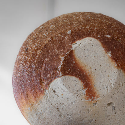 Shigaraki Shallow Bowl